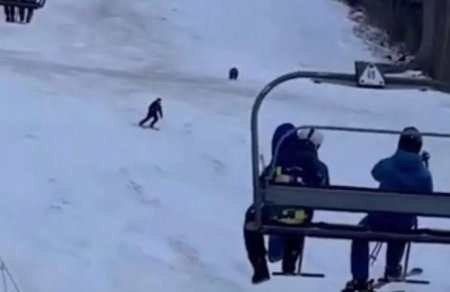 Медведь бросился на лыжника на горнолыжном склоне. Вы не угадаете, чем все кончилось
