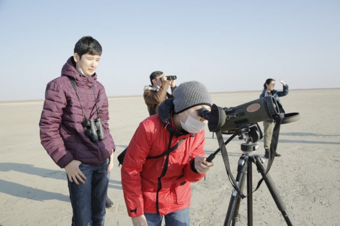 На озере Караколь насчитали более 15 тысяч птиц