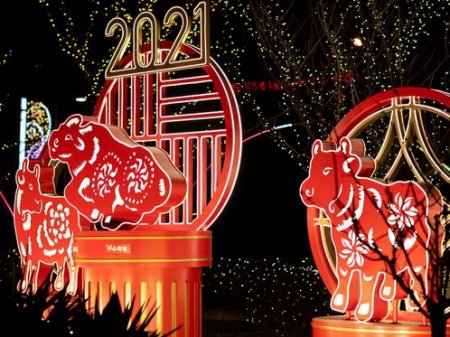 Новый год Белого металлического быка наступил в Китае