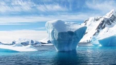 Учёные нашли под ледником Антарктиды странных существ