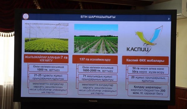 Агрозона появится в Мангистау