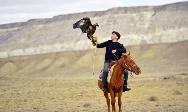 Искусству охоты планирует обучать молодежь беркутчи из Жанаозена