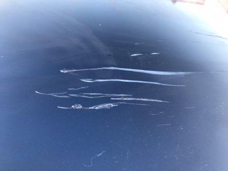 Без комментариев ВИДЕО