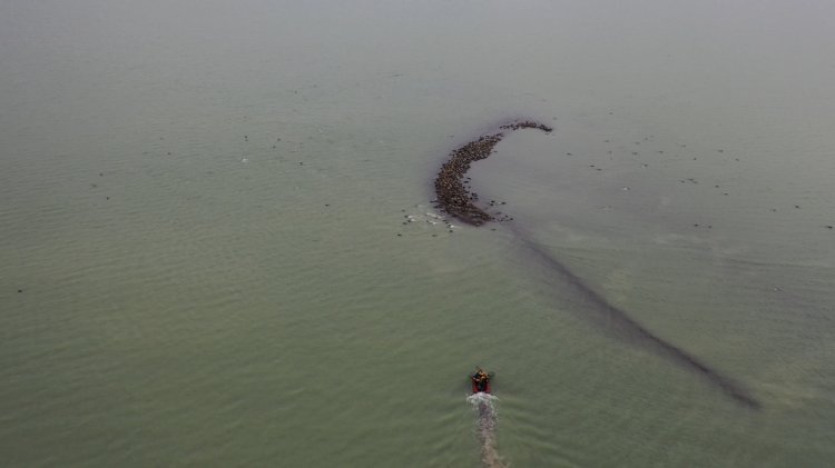 NCOC: Казахстанско-Российские комплексные исследования популяции каспийского тюленя NCOC: Казахстанско-Российские комплексные исследования популяции каспийского тюленя