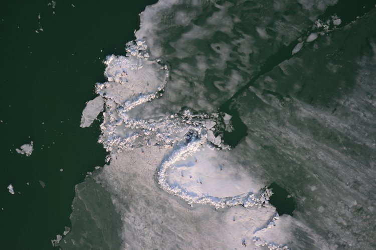 NCOC: Казахстанско-Российские комплексные исследования популяции каспийского тюленя