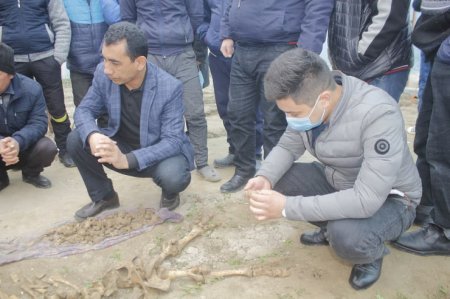 Фермер выкопал кости динозавра в Узбекистане