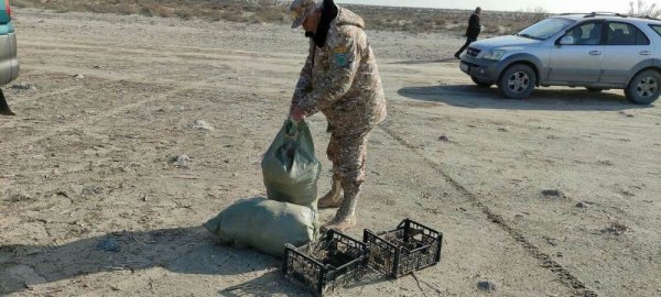 На побережье Мангистау собрали три тонны отходов
