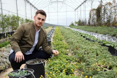 Съедобные электрические цветы выращивают в Турции