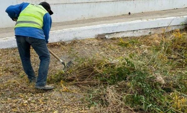 Опять бла-бла-бла! В пустырь превратился газон с вырубленной ивой в Актау