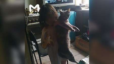 Девочку-маугли, живущую в стае кошек, нашли в Подмосковье