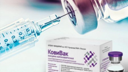 Озвучена стоимость третьей российской вакцины от коронавируса