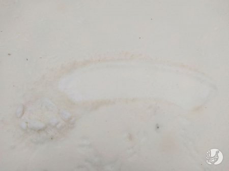 Редкое явление: Мангистауский песок выпал вместе со снегом в Чувашии