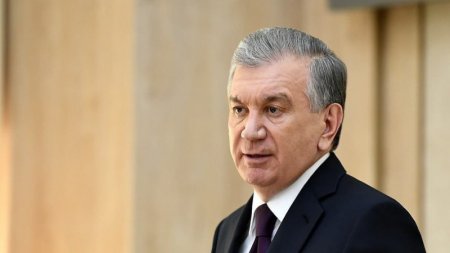 Селектор президента узбекистана