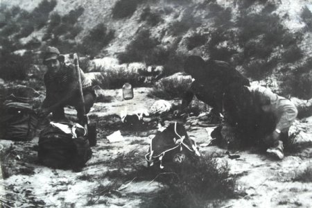 Бозжыра: Взведенный Курык