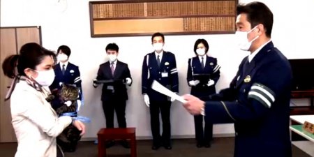 Кошку назначили главой полиции в Японии