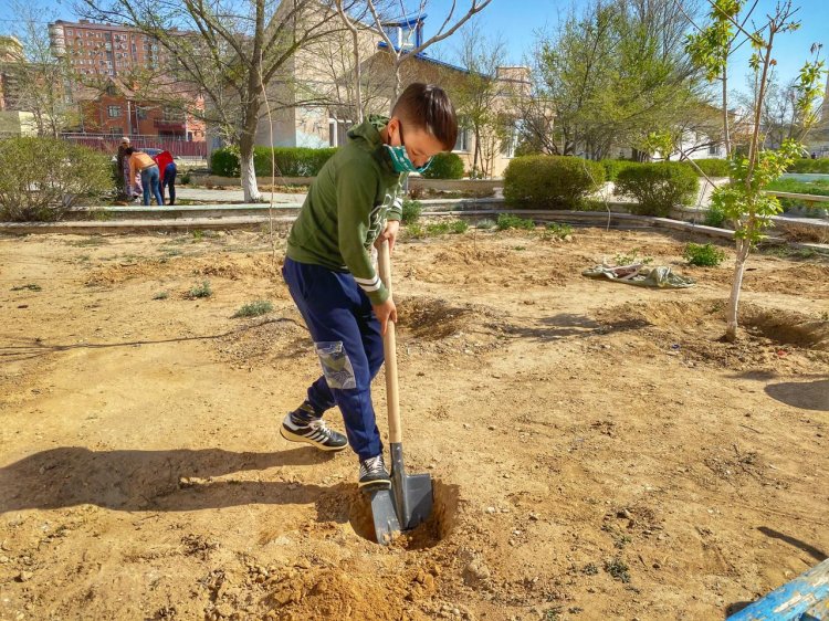 3000 саженцев к 30-летию Независимости:  Нефтяники АО «Каражанбасмунай» вышли на масштабный субботник