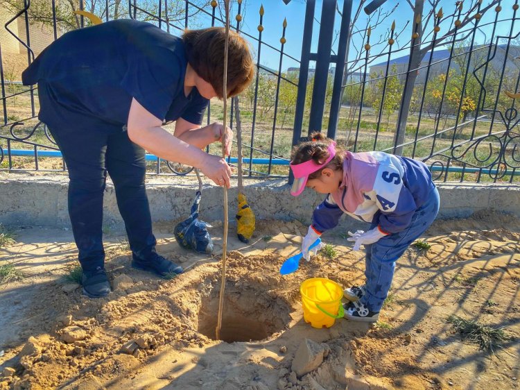 3000 саженцев к 30-летию Независимости:  Нефтяники АО «Каражанбасмунай» вышли на масштабный субботник