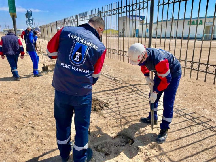 3000 саженцев к 30-летию Независимости:  Нефтяники АО «Каражанбасмунай» вышли на масштабный субботник