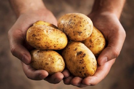 Мужчина убил знакомого картофелем в Казахстане