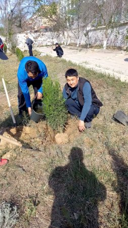 Пограничники Мангистау высадили порядка 500 саженцев