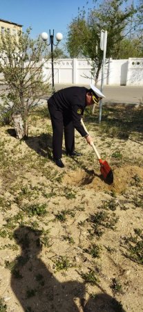 Пограничники Мангистау высадили порядка 500 саженцев