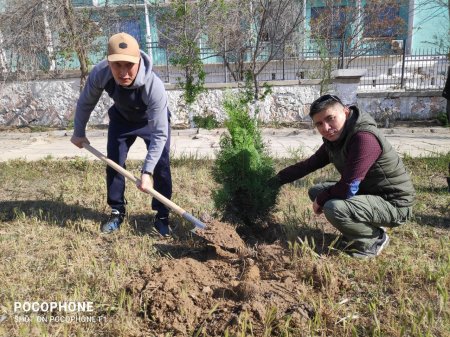 Пограничники Мангистау высадили порядка 500 саженцев