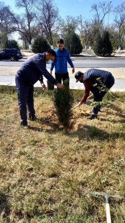 Пограничники Мангистау высадили порядка 500 саженцев