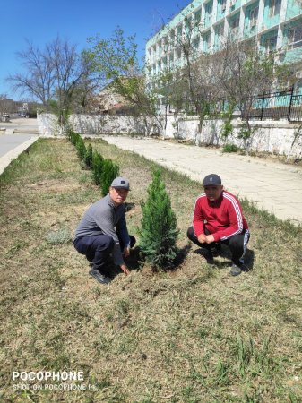 Пограничники Мангистау высадили порядка 500 саженцев