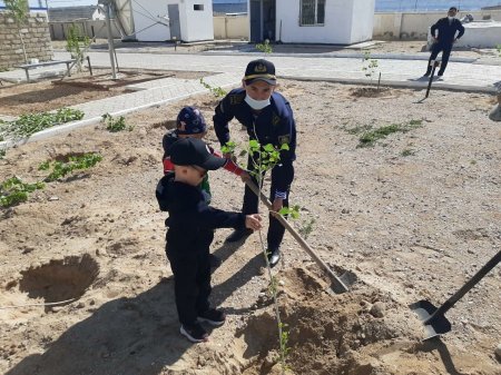 Пограничники Мангистау высадили порядка 500 саженцев