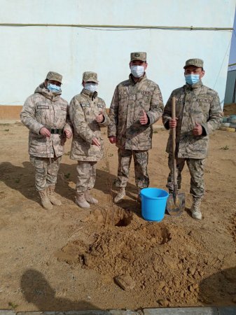 Пограничники Мангистау высадили порядка 500 саженцев