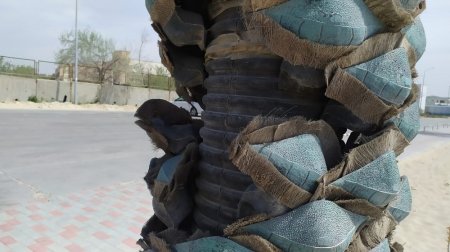 После налёта диких обезьян: Сломанные пальмы на набережной Актау сняли на видео