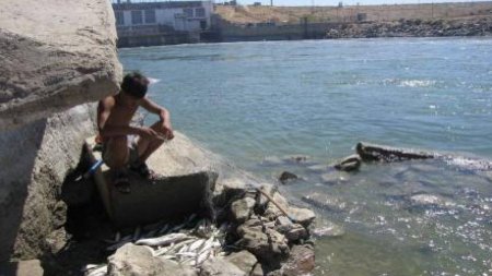 Обострение водной проблемы может привести к конфликтам в Центральной Азии – эксперт