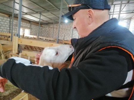 Козья ферма в Акшукуре приглашает гостей Козья ферма в Акшукуре приглашает гостей