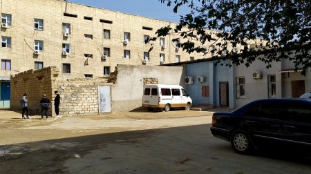 Кошачий приют в Актау ищет новый дом