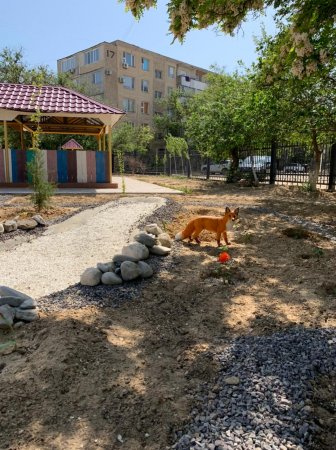 Помогите защитить красоту! Вандалы повредили площадку в детском саду в 11 микрорайоне Актау