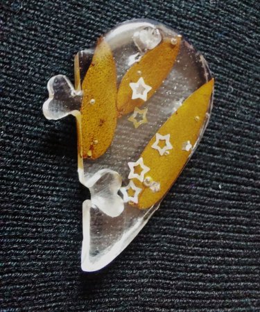 Школьная теплица села Отес стала лучшей в регионе