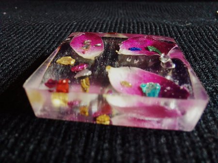 Школьная теплица села Отес стала лучшей в регионе