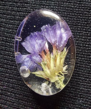 Школьная теплица села Отес стала лучшей в регионе