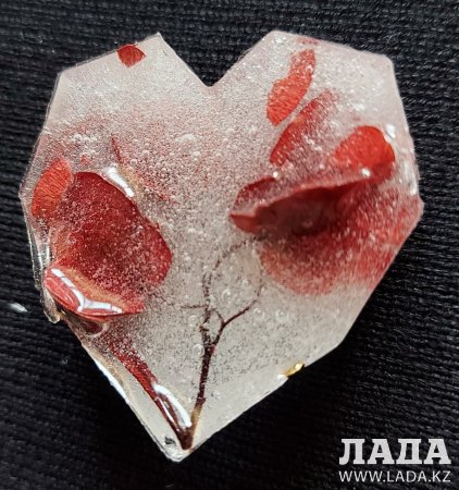 Школьная теплица села Отес стала лучшей в регионе