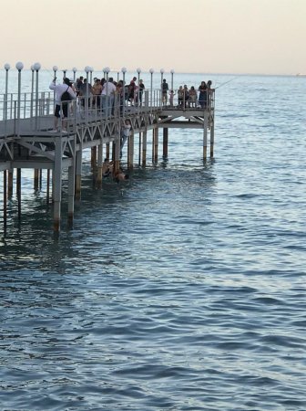 Когда Службы спасения и акимат оборудуют берег спасательными средствами?