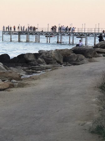 Когда Службы спасения и акимат оборудуют берег спасательными средствами?