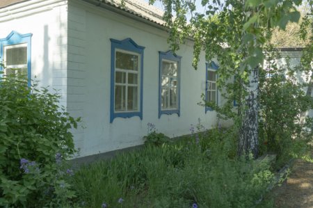 Чудо-женщина. В степях Казахстана жил сверхчеловек Чудо-женщина. В степях Казахстана жил сверхчеловек