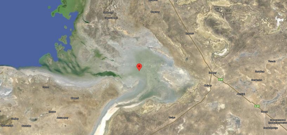 «Каспий отступает»: Тюлени потеряли своё основное лежбище