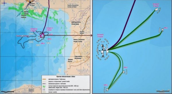 Власти одобрили проект канала Кашаган по дну Каспия: Что будет с морскими обитателями?