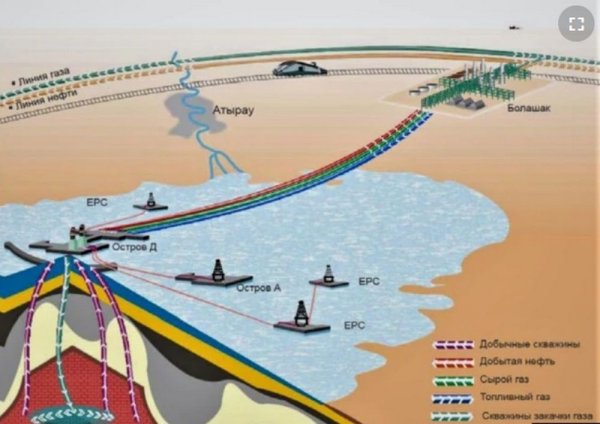 Власти одобрили проект канала Кашаган по дну Каспия: Что будет с морскими обитателями?