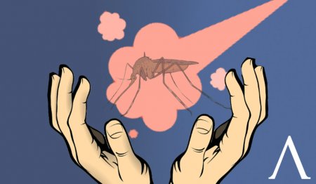 В Павлодаре, Уральске и Атырау потратили миллиарды на комаров, но меньше их не стало