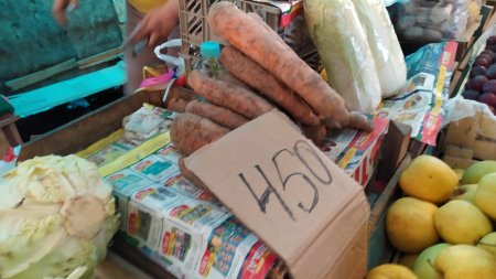 Ситуацию с ценами на морковь в Актау озвучили в областном акимате