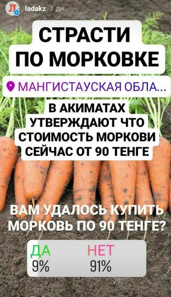Страсти по морковке: Результаты опроса жителей Актау