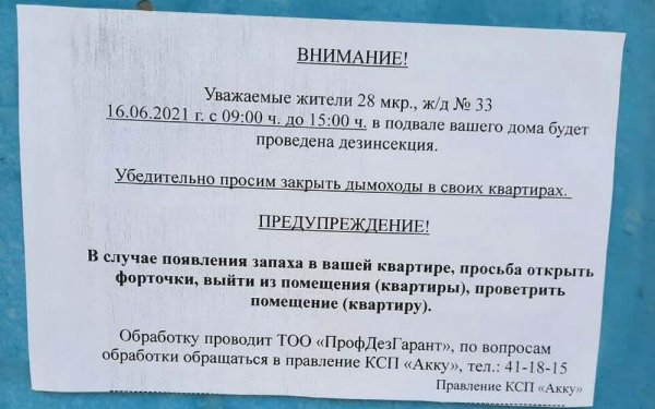 Тараканы атаковали квартиру в Актау: Комментарий КСК