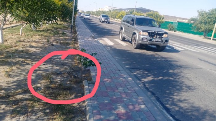 «Кабели прячут под мусором»: Жители Актау присылают фото и видео торчащих из земли электрических сетей